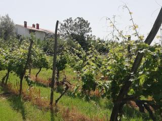 Peaceful View Apartment - Koper - 2