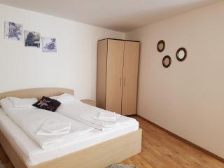 Apartament Diara - Sibiu - 5