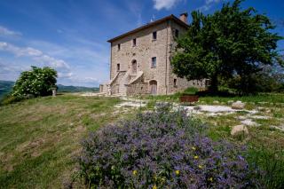 Palazzo Serre - Natura & Piscina - San Leo - 7
