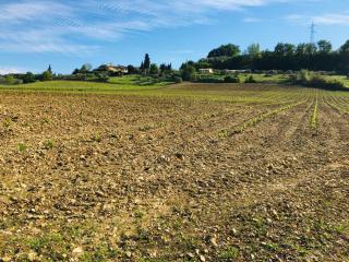 Agriturismo La Valle A Polvereto - Tavarnelle in Val di Pesa - 4