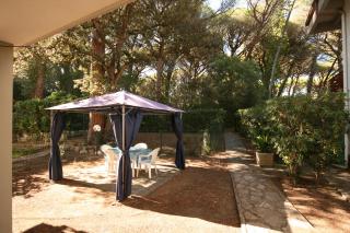 A 300 m dal mare grazioso appartamento - Castagneto Carducci - 9