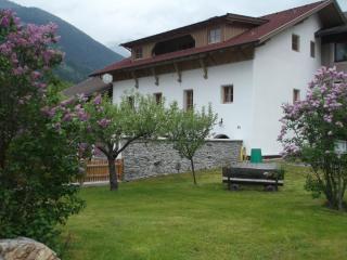 Ferienhaus Alpenstille - Großkirchheim - 0