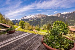 Chalet Roossi 2 - Wengen - 3