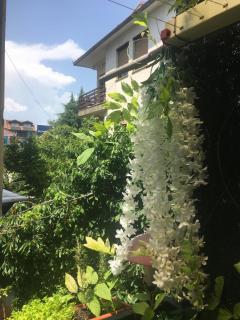 ANI Apartment - Ohrid - 4