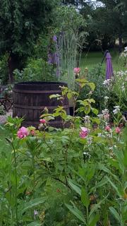 Chambres d’hôtes du Presbytère - 3