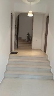 Lemontree - Atene - 8