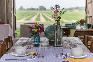 B&B Antica cascina - Boretto - 9
