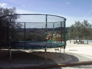 L' oliveraie - Mirabel-aux-Baronnies - 4