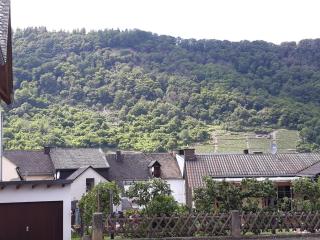 Mosel-Ferienwohnung Berhard - Bruttig-Fankel - 8