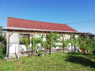 Apartmán s vinným sklepem Four Grapes - Jevišovka - 5