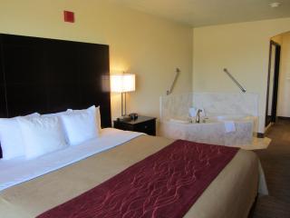 Comfort Inn & Suites Amarillo West near Medical Center - Amarillo - 4