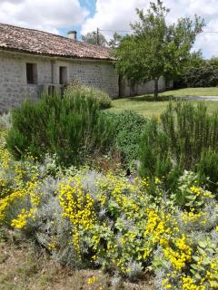 L'Hégoa - Montpellier-de-Médillan - 0