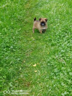 Nora's guesthouse - 4