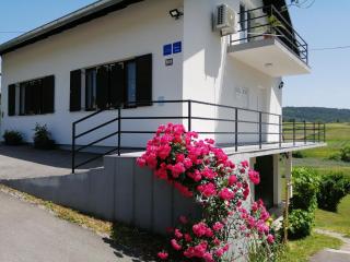 VIP Apartments & Room - Rakovica - 8