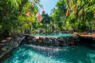 Thala Beach Nature Reserve - Port Douglas - 9