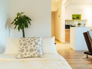 Bright and Spacious Central Apartment- Piata Amzei - Bucharest - 8