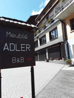 Hotel Meublè Adler - Rooms & Mountain Apartments - Santa Caterina Valfurva - 1