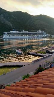 Apartments Radimir - Kotor - 5