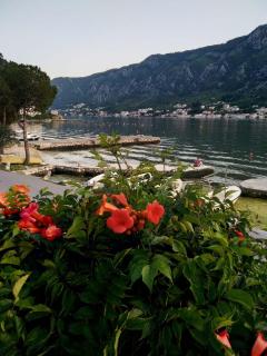Apartments Radimir - Kotor - 7