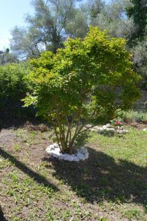 Kathrin's House - 2