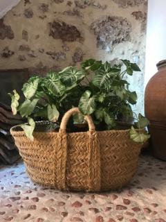 Casa Rural La Antigua - 4