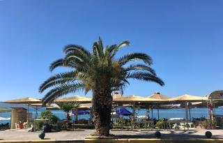 Balsam suite - 50m to the beach - Kalamata - 8