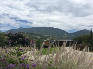 Kiri Pura Resort - 8