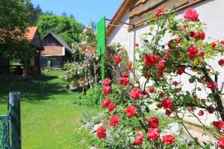 Apartments for families with children Perusic (Velebit) - 17540 - 8