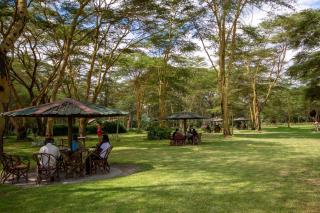 Lake Naivasha Crescent Camp - Naivasha - 6