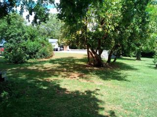 Les Vieilles Vignes - 7