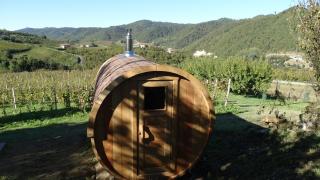 Corte di Langa - Cossano Belbo - 5