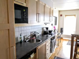 Lillestrøm Central City Apartment Fully Furnished - 8