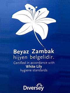 Amofta Hotel Taksim - Istanbul - 5