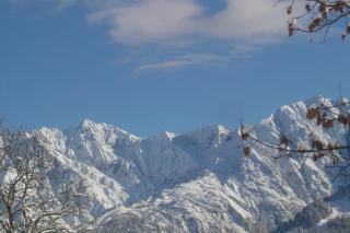 Residence Cavallino - Ponte di Legno - 3