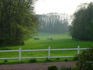 Domaine de Vadancourt - Maissemy - 1