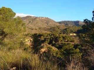 Finca El Carrascal - Murcia - 6