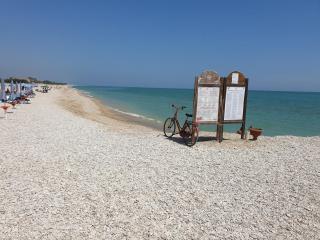 la casa dei limoni - 3