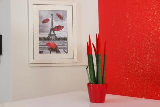 Colourful apartments (Red passion) - Argostoli - 5