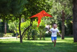 Akka Alinda Hotel - Premium Ultra All Inclusive - Kemer - 4