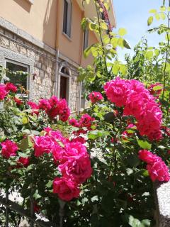 Il Giardino - Baunei - 7