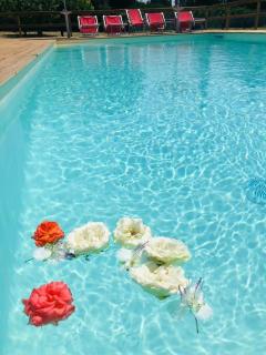 B&B Villa Jonica - Gallipoli - 2