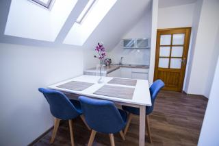 Apartament Miejski - 5