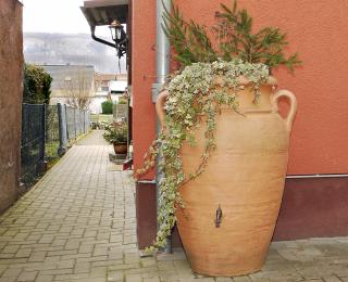 Ferienhaus Oliv - Thale - 9