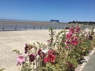 Petit nid à 50m de la plage au coeur de Fouras - Fouras - 2