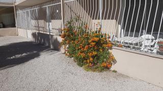 LE PATIOT 2 - Six-Fours-les-Plages - 1