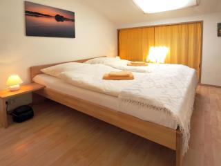 Ferienwohnung am Dümmer See - Dümmer - 5