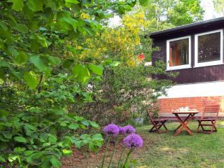 Ferienwohnung am Dümmer See - Dümmer - 9