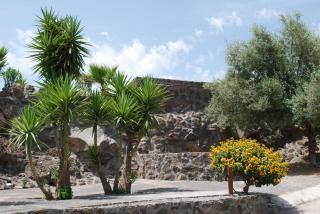 Etna Hills Scalilli - Paterno - 7