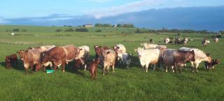 West Wood Yurts Ltd - 5