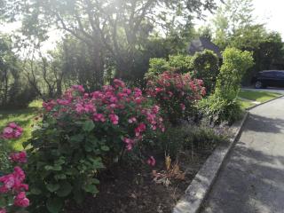 Guesthouse Šebalj - Rakovica - 5